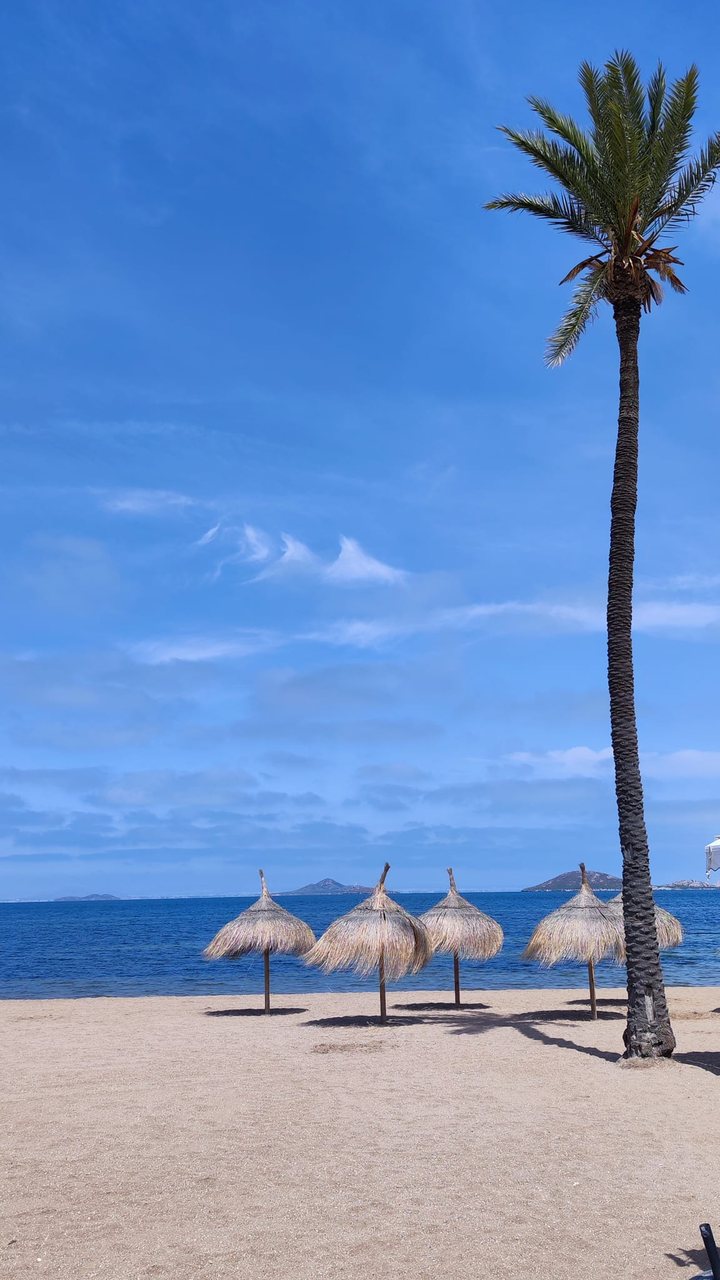 Strand met rieten parasols en een palmboom aan de Costa Cálida